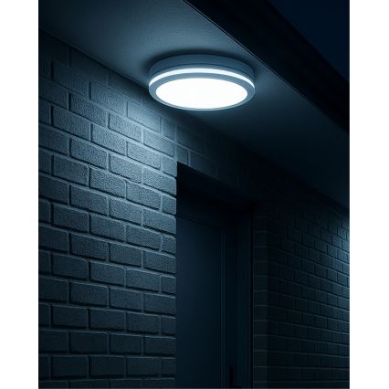 LED потолочный светильник для ванной с датчиком движения LED/20 Вт/230 В 3000/4000/6500К Ø 23 см IP54 белый