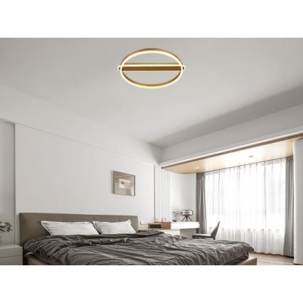 LED-потолочный светильник с регулировкой яркости LED/60W/230V 3000-6500K + пульт дистанционного управления