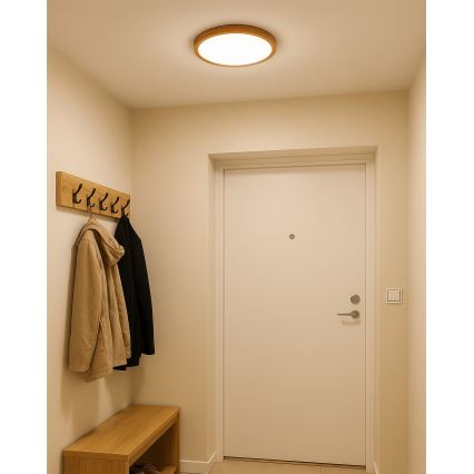 LED потолочный светильник 18 Вт / 230 В, 3000/4000/6500 К, диаметр 23 см, бежевый