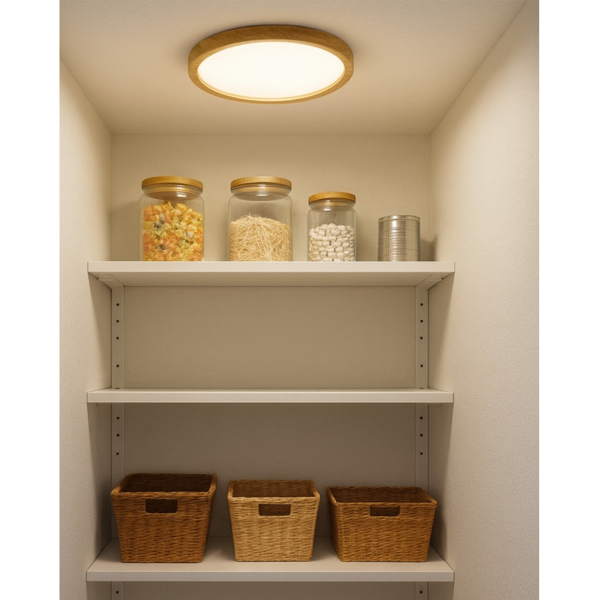 LED потолочный светильник 18 Вт / 230 В, 3000/4000/6500 К, диаметр 23 см, бежевый