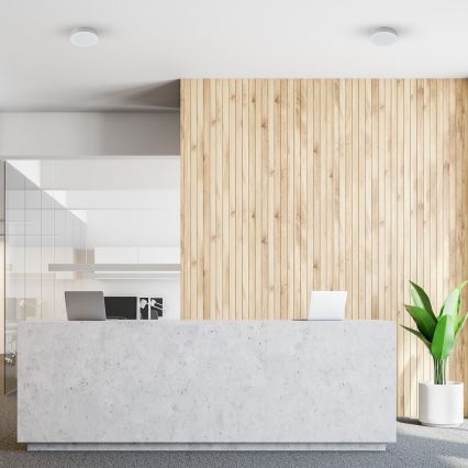 LED потолочный светильник для ванной MARLON LED/12W/230V диаметр 18 см IP54 белый