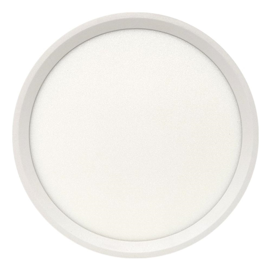 LED потолочный светильник LED/18 Вт/230 В 3000/4000/6500K диаметр 23 см белый