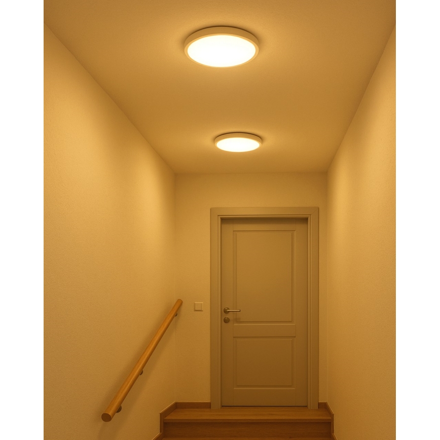 LED потолочный светильник LED/18 Вт/230 В 3000/4000/6500K диаметр 23 см белый
