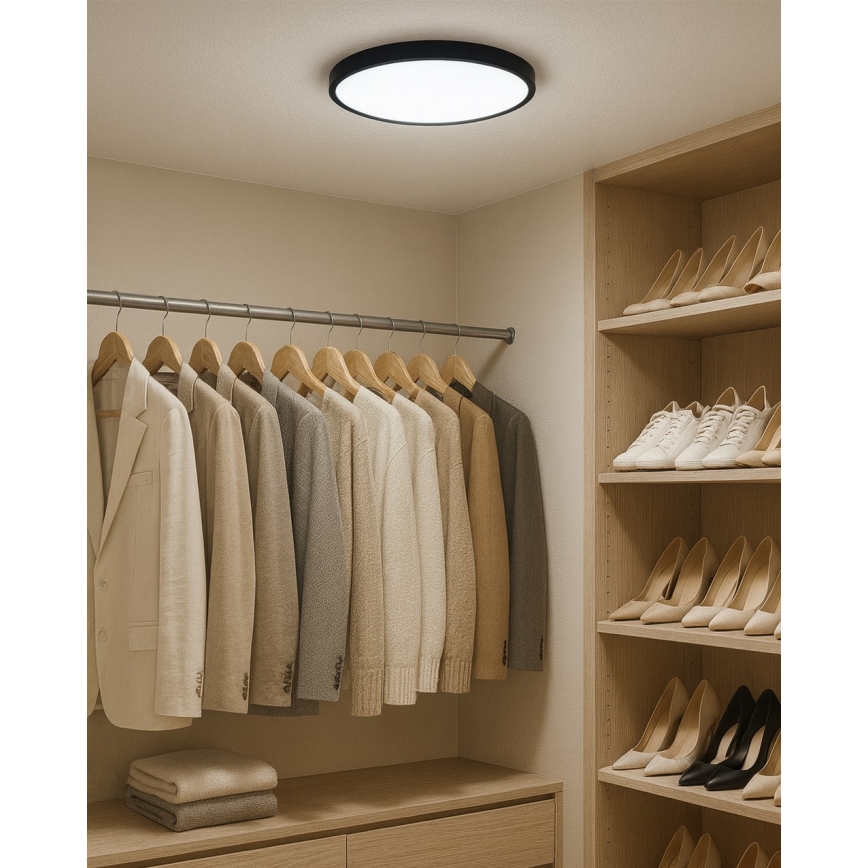 LED потолочный светильник LED/24 Вт/230 В 3000/4000/6500 К, диаметр 30 см, черный