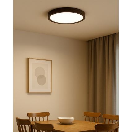 LED потолочный светильник LED/24W/230V 3000/4000/6500K, диаметр 30 см, коричневый