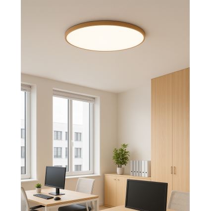 LED потолочный светильник LED/40W/230V 3000/4000/6500K диам. 50 см бежевый