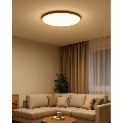 LED потолочный светильник LED/40W/230V 3000/4000/6500K диам. 50 см бежевый