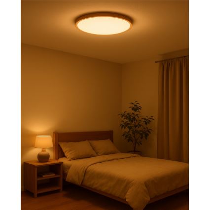 LED потолочный светильник LED/40W/230V 3000/4000/6500K диам. 50 см бежевый