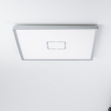 LED потолочный светильник LENNA LED/22W/230V 4000K