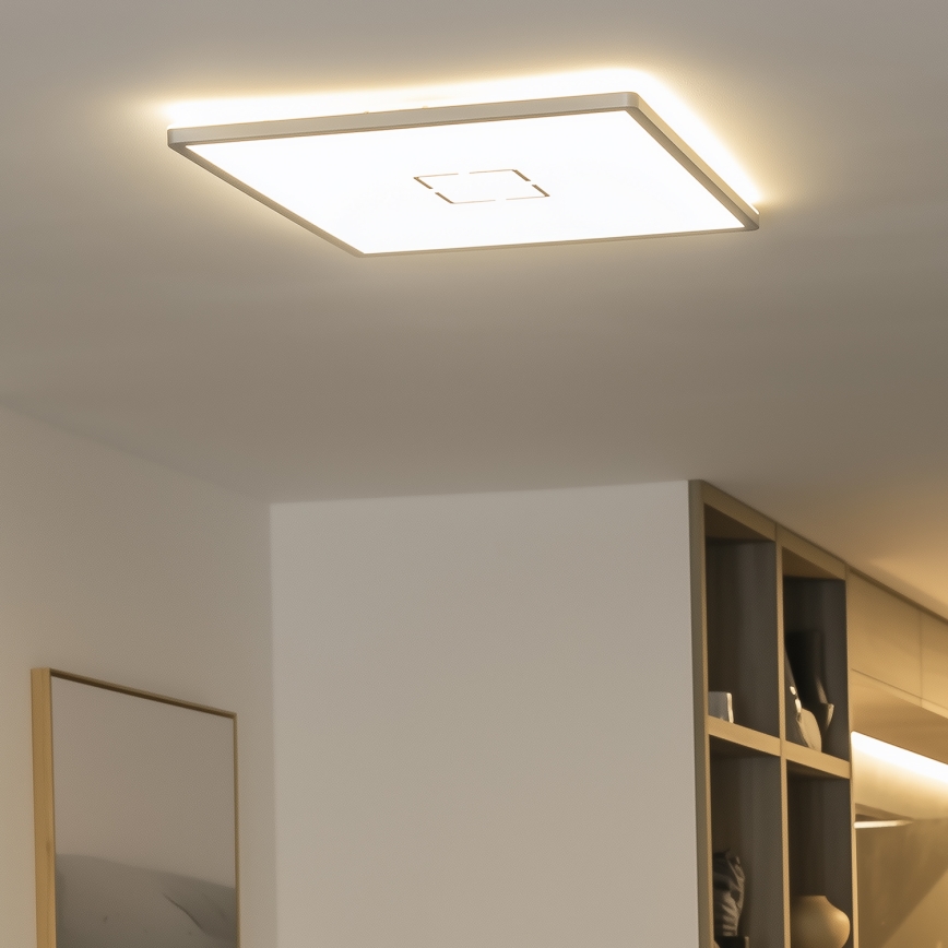 LED потолочный светильник LENNA LED/22W/230V 4000K