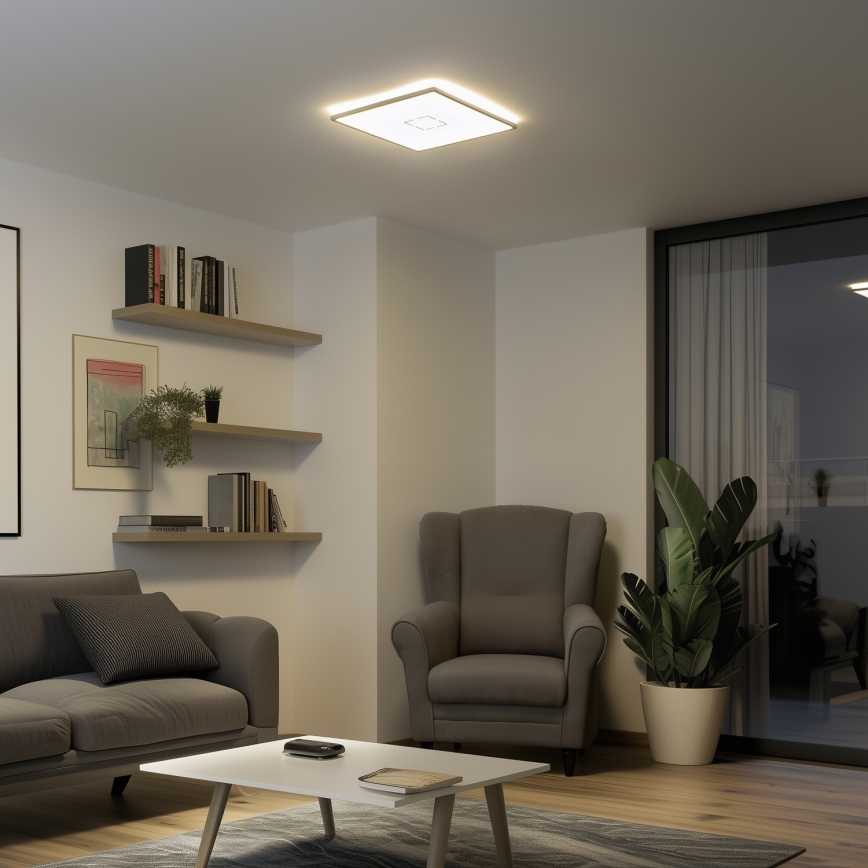 LED потолочный светильник LENNA LED/22W/230V 4000K