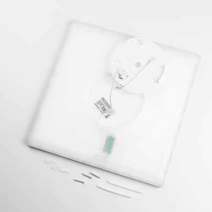 LED потолочный светильник LENNA LED/22W/230V 4000K