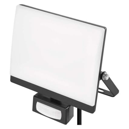 LED-прожектор с датчиками движения и сумерек TAMBO EVO LED/30W/230V 4000K IP44 черный