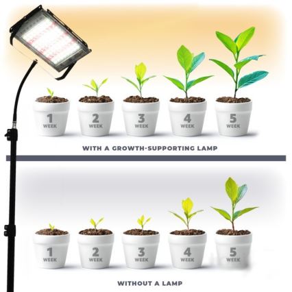 LED Прожектор зі стійкою для вирощування рослин FIRON LED/45W/230V IP54 чорний