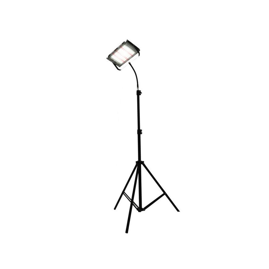LED Прожектор зі стійкою для вирощування рослин FIRON LED/45W/230V IP54 чорний
