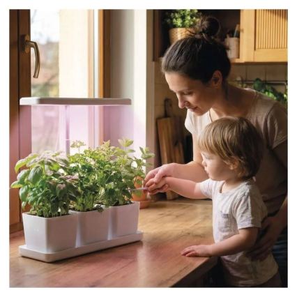 LED регульована внутрішня лампа для вирощування рослин GROW LED/7W/5V