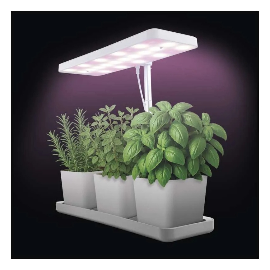 LED регульована внутрішня лампа для вирощування рослин GROW LED/7W/5V