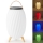 LED RGB Акумуляторна настільна лампа з динаміком 60W/2200 mAh IPX5