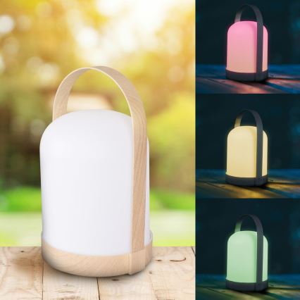 LED RGBW Декоративна настільна лампа MINORKA LED/0,3W/4,5V 3xAA