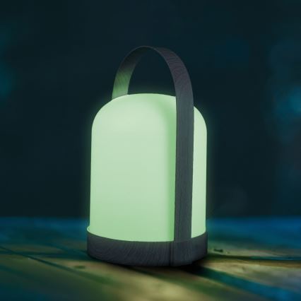LED RGBW Декоративна настільна лампа MINORKA LED/0,3W/4,5V 3xAA