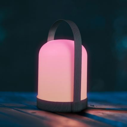 LED RGBW Декоративна настільна лампа MINORKA LED/0,3W/4,5V 3xAA
