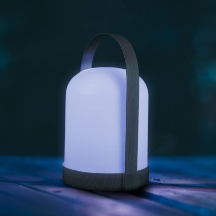 LED RGBW Декоративна настільна лампа MINORKA LED/0,3W/4,5V 3xAA