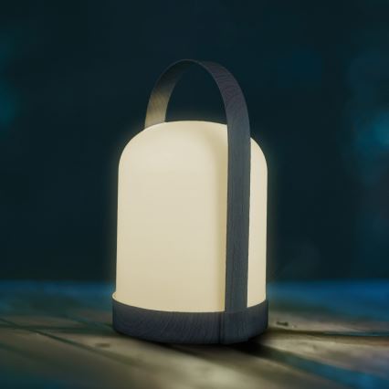 LED RGBW Декоративна настільна лампа MINORKA LED/0,3W/4,5V 3xAA