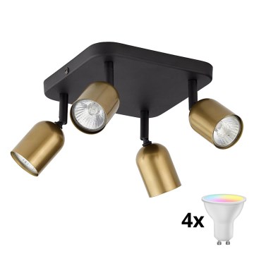 LED RGBW диммируемый точечный светильник TOP 4xGU10/6,5W/230V 2700-6500K золотой/чёрный
