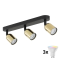 LED RGBW димований точковий світильник TOP 3xGU10/6,5W/230V 2700-6500K чорний/золотий