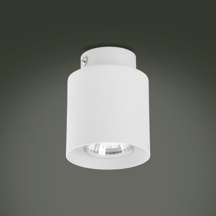 LED RGBW димований точковий світильник VICO 1xGU10/6,5W/230V 2700–6500K