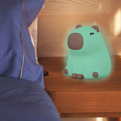 LED RGBW Дитяча сенсорна лампа з регулюванням яскравості LED/1W/5V USB 1200 mAh капібара