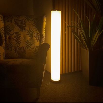 LED RGBW Торшер з регулюванням яскравості STELLA LED/12W/230V + пульт дистанційного керування