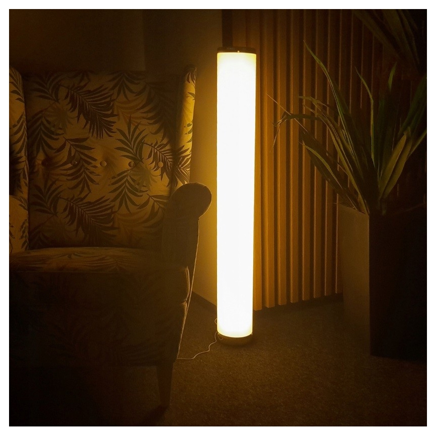 LED RGBW Торшер з регулюванням яскравості STELLA LED/12W/230V + пульт дистанційного керування