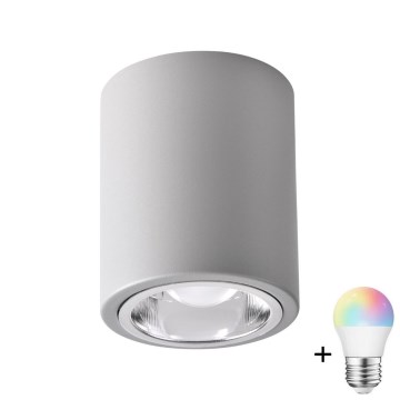 LED RGBW затемнюваний точковий світильник JUPITER 1xE27/6,5W/230V 2700-6500K Wi-Fi діаметр 9,8 см сірий