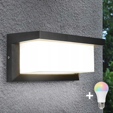 LED RGBW зовнішній настінний світильник NEELY з регулюванням яскравості 1xE27/9W/230V 2700-6500K IP54 Wi-Fi антрацит
