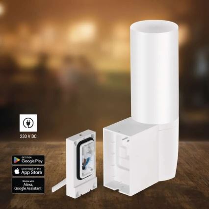 LED Розумна вулична камера зі світлом GoSmart LED/12W/230V IP65 Wi-Fi Tuya білий