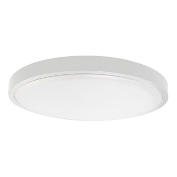 LED стельовий світильник для ванної кімнати — 18W/230V, 4000K, IP44, діаметр 25 см, білий