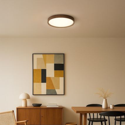 LED стельовий світильник FOREST, 24 Вт, 230 В, діаметр 39 см, коричневий