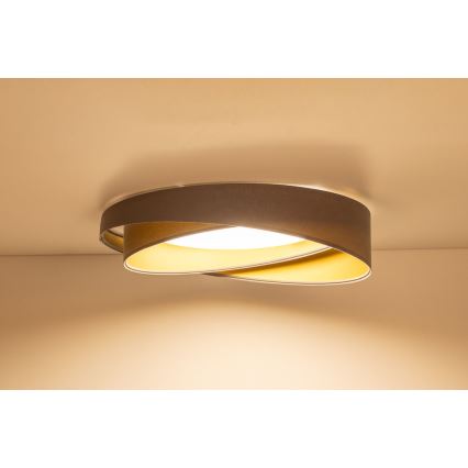 LED стельовий світильник GALAXY MODERN LED/24 Вт/230 В, діаметр 55 см, сірий/золотистий