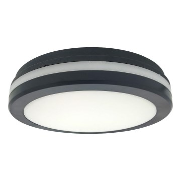 LED-стельовий світильник із датчиком руху LED/20W/230V 3000/4000/6500K діам. 230 см IP54 антрацит