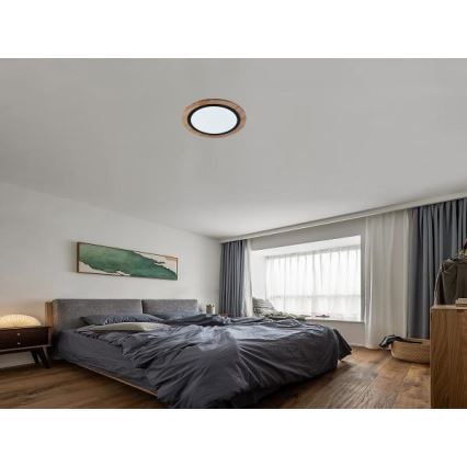 LED стельовий світильник із регулюванням яскравості LED/25W/230V 3000-6500K + пульт дистанційного керування