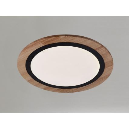 LED стельовий світильник із регулюванням яскравості LED/25W/230V 3000-6500K + пульт дистанційного керування
