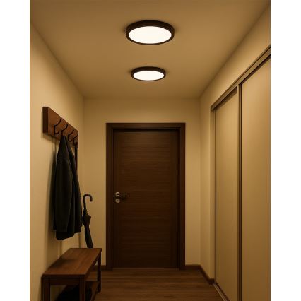 LED-стельовий світильник LED/24W/230V 3000/4000/6500K діаметр 30 см коричневий