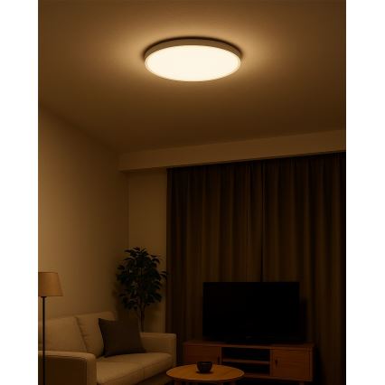 LED стельовий світильник LED/32 Вт/230 В 3000/4000/6500 К, діаметр 40 см, білий