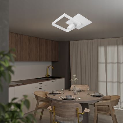 LED Стельовий світильник LED/38W/230V + 1xGU10/30W білий