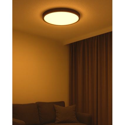 LED стельовий світильник LED/40 Вт/230 В 3000/4000/6500К діаметр 50 см коричневий
