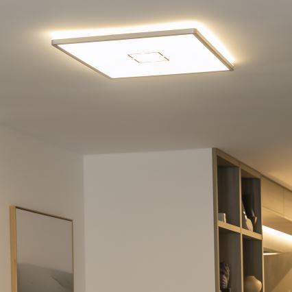 LED стельовий світильник LENNA LED/22W/230V 4000K