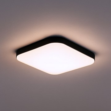 LED стельовий світильник NEMO LED/11W/230V 26x26 см чорний