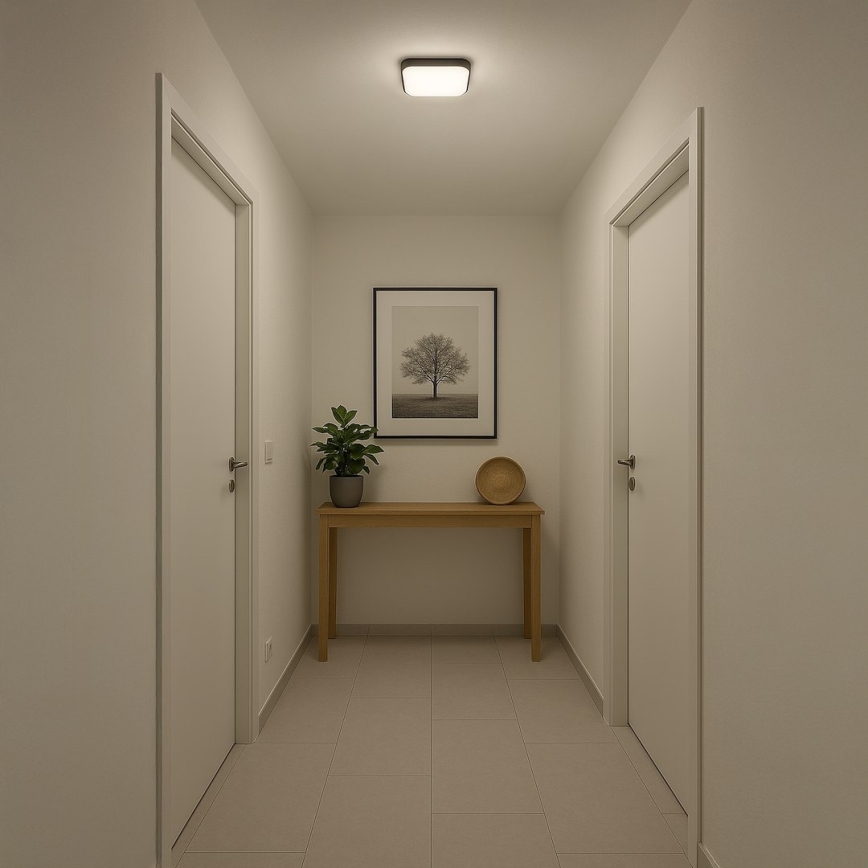 LED стельовий світильник NEMO LED/11W/230V 26x26 см чорний