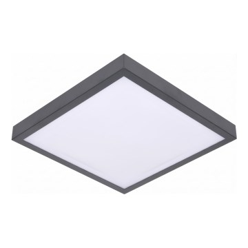 LED стельовий світильник VITALI з датчиком руху та датчиком сутінків LED/24W/230V 4000K 33x33 cm антрацит